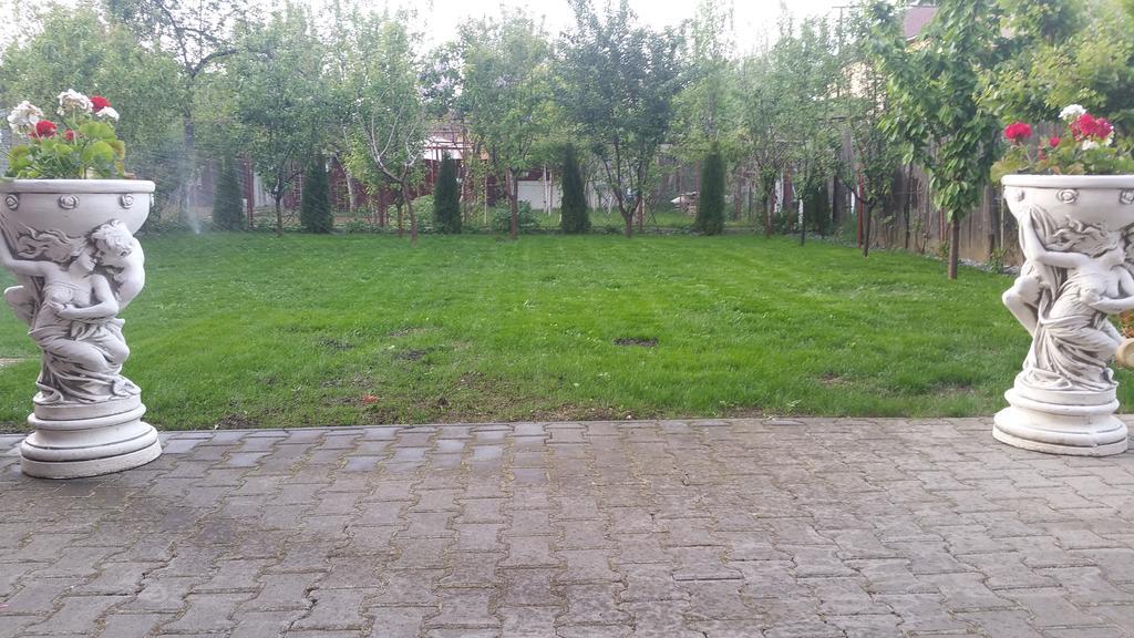 Family Pension Arad Exterior photo